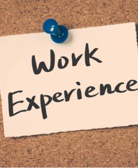 Program Director and Researcher